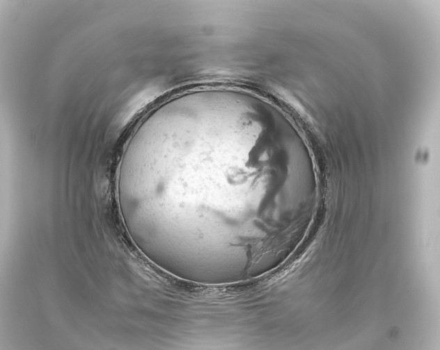 X0000093611259200710291158