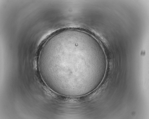 X0000093611262200710291157