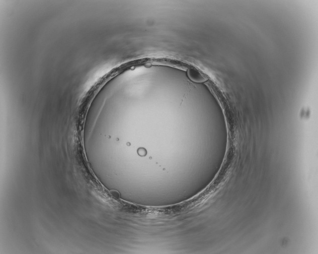 X0000093611263200710291157