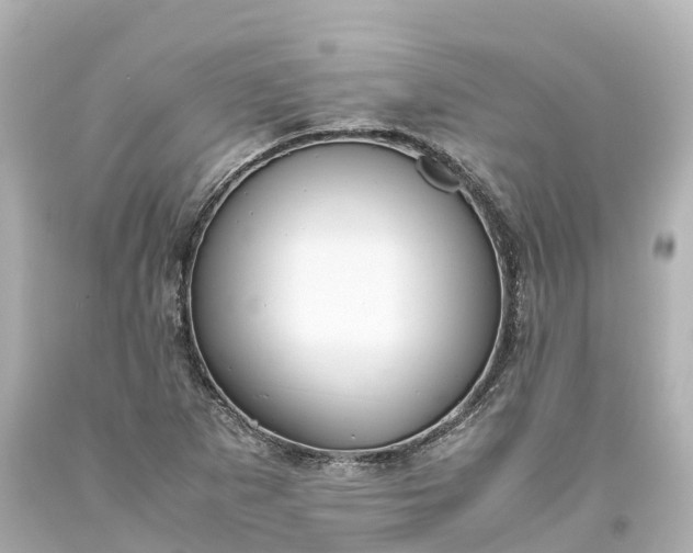 X0000093611265200710291157