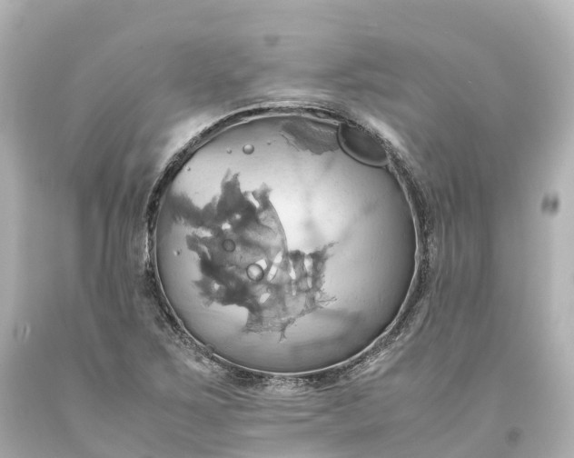 X0000093611267200710291157