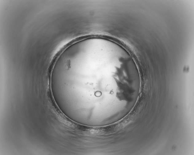 X0000093611271200710291157