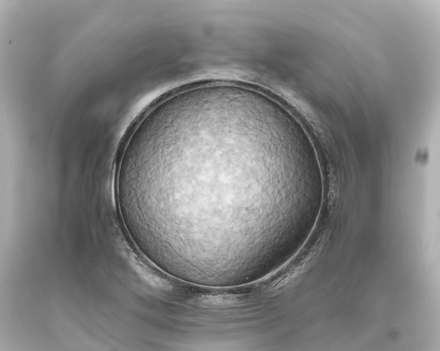 X0000093611272200710291157