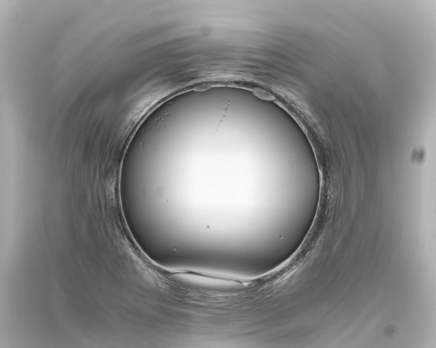 X0000093611273200710291157