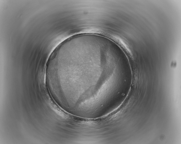 X0000093611276200710291157