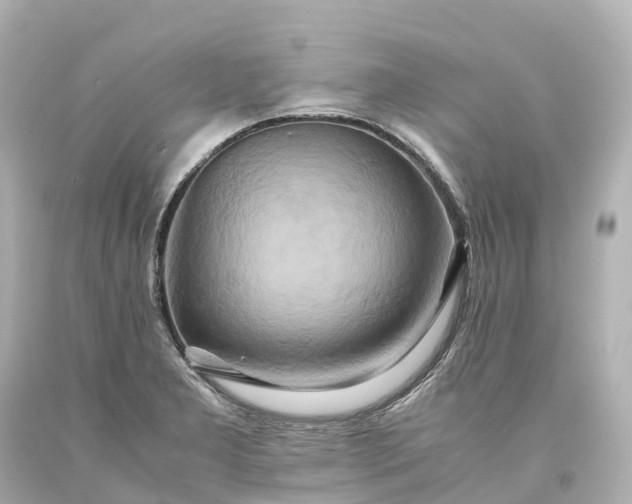 X0000093611277200710291157