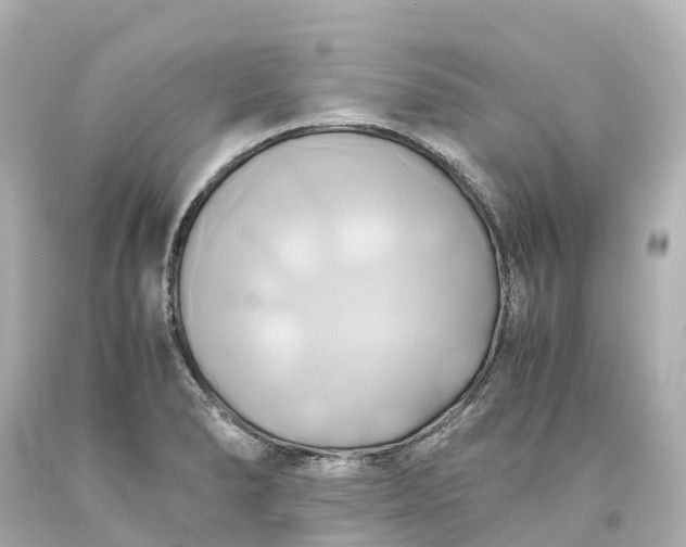 X0000093611278200710291157