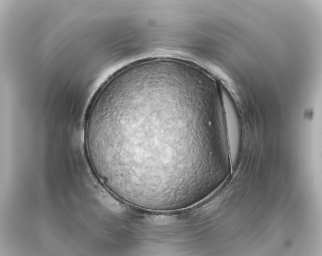 X0000093611280200710291157