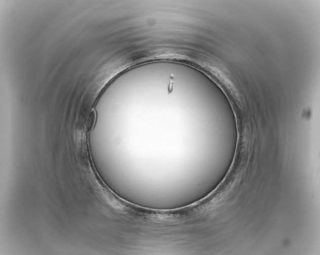 X0000093611281200710291157