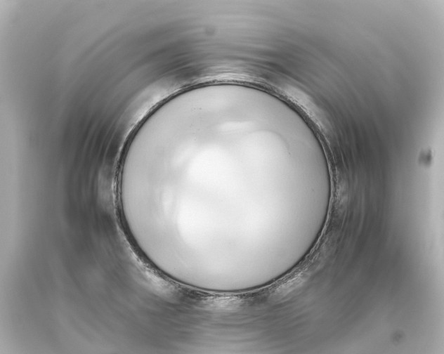 X0000093611282200710291157
