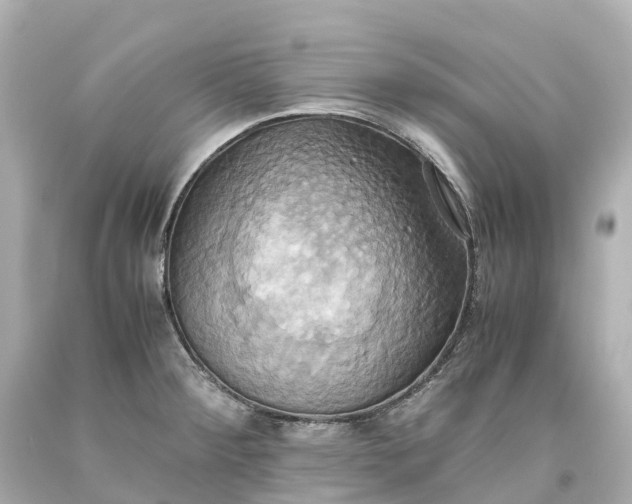 X0000093611284200710291157