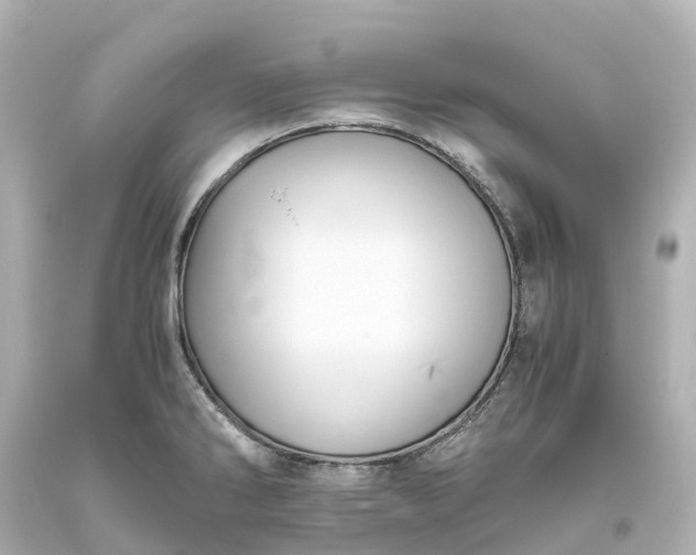 X0000093611286200710291157