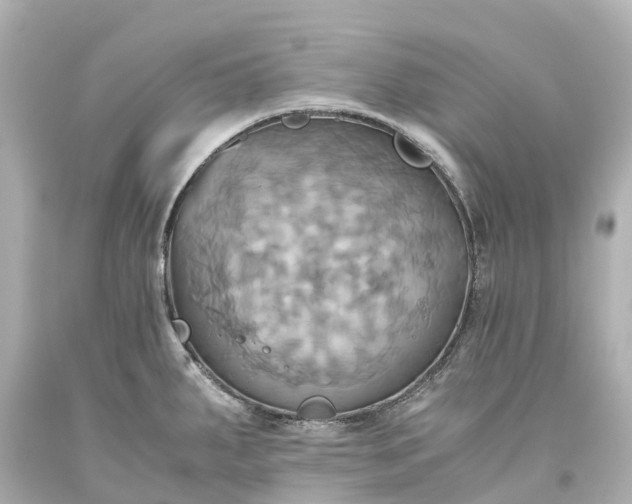 X0000093611287200710291157