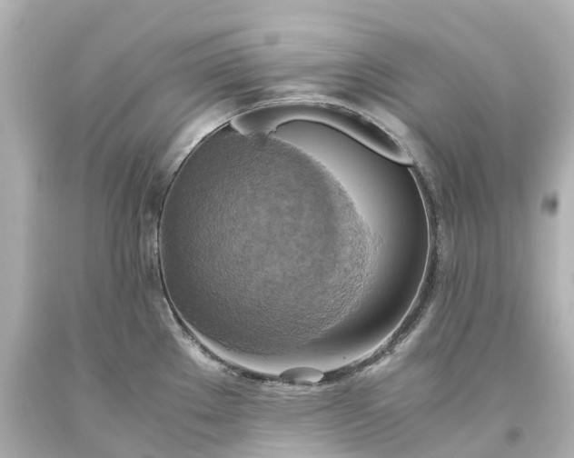 X0000093611289200710291157