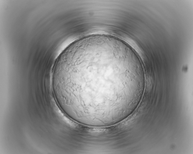 X0000093611290200710291157