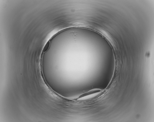 X0000093611291200710291157