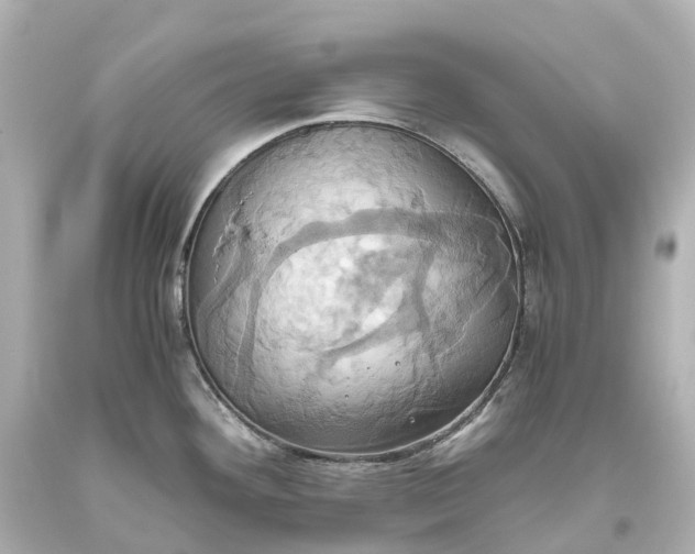 X0000093611292200710291157