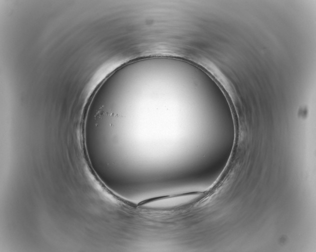 X0000093611293200710291157