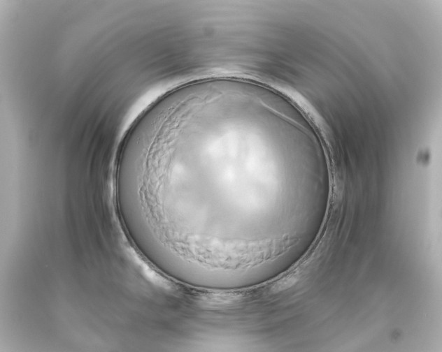 X0000093611294200710291157