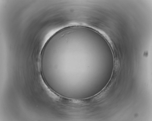 X0000093611295200710291157