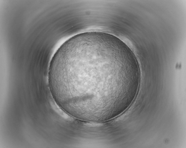 X0000093611296200710291157