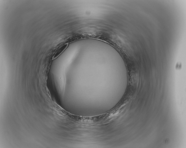 X0000093611297200710291156