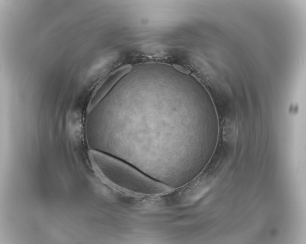 X0000093611298200710291156