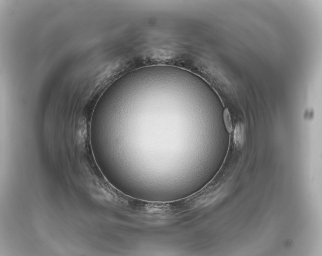 X0000093611299200710291156