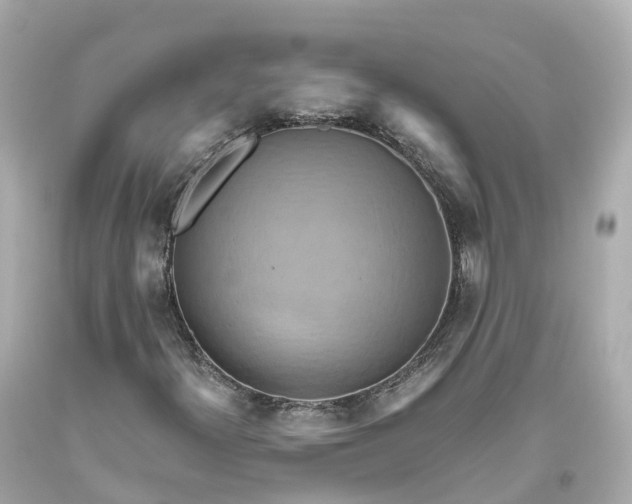 X0000093611300200710291156