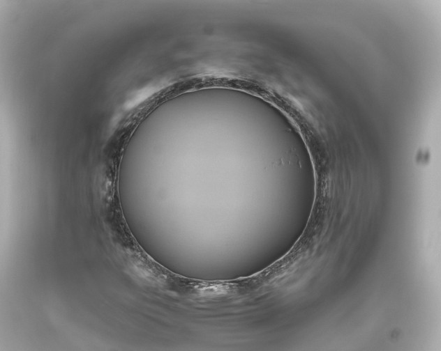 X0000093611303200710291156