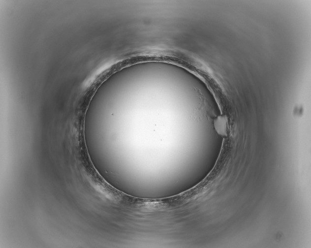 X0000093611304200710291156