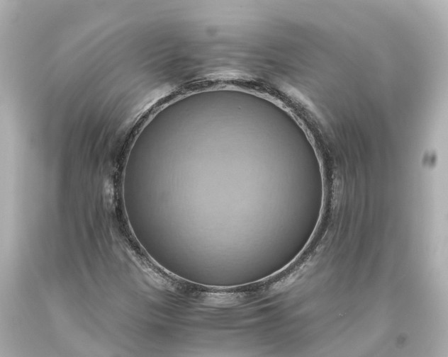 X0000093611305200710291156
