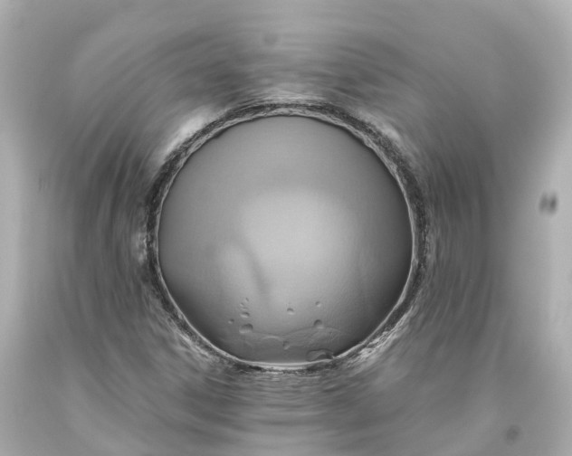 X0000093611306200710291156