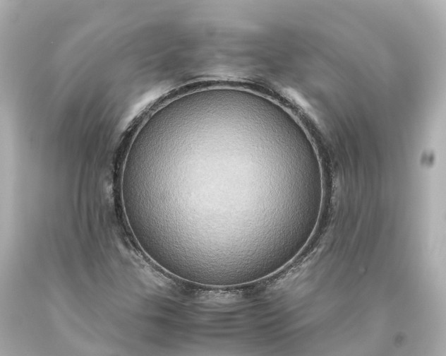 X0000093611307200710291156