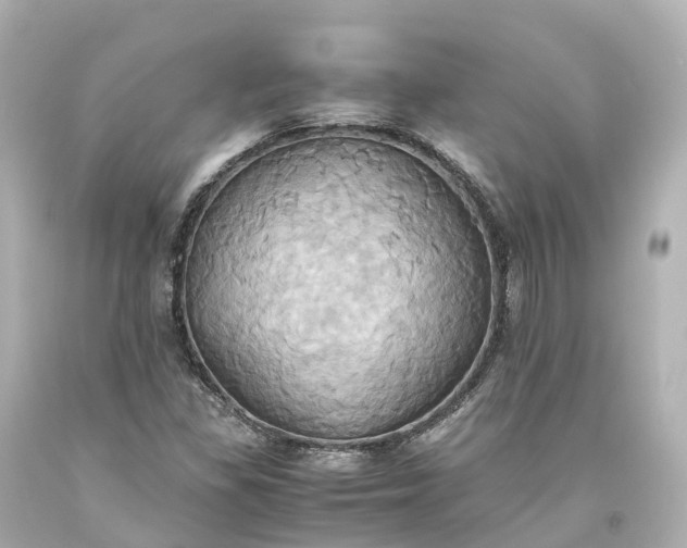 X0000093611309200710291156