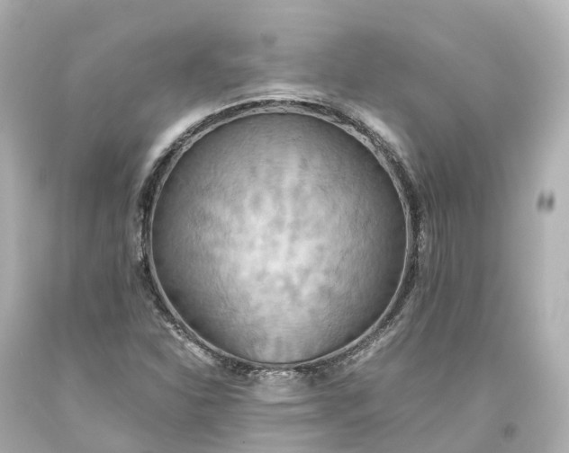 X0000093611310200710291156