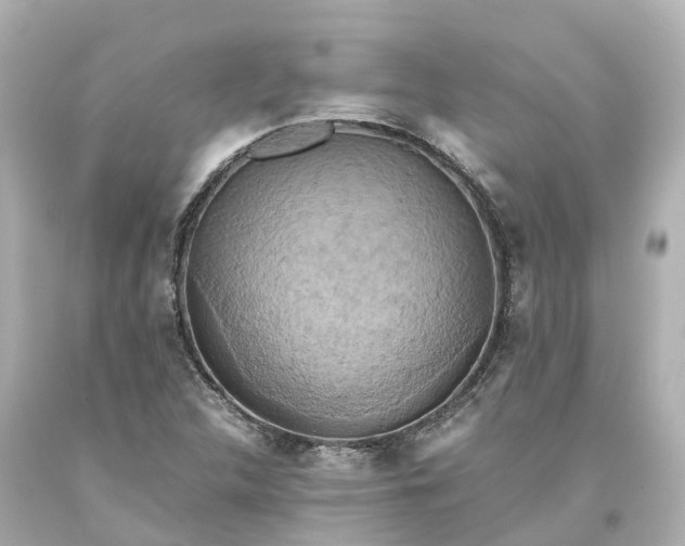X0000093611312200710291156