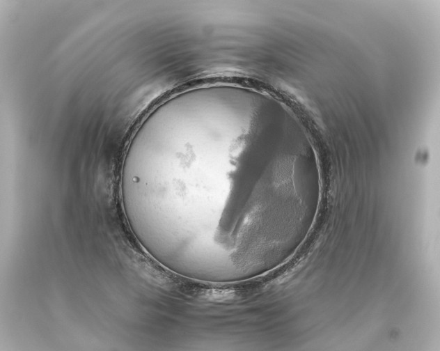 X0000093611313200710291156