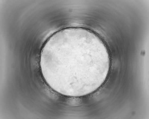 X0000093611314200710291157