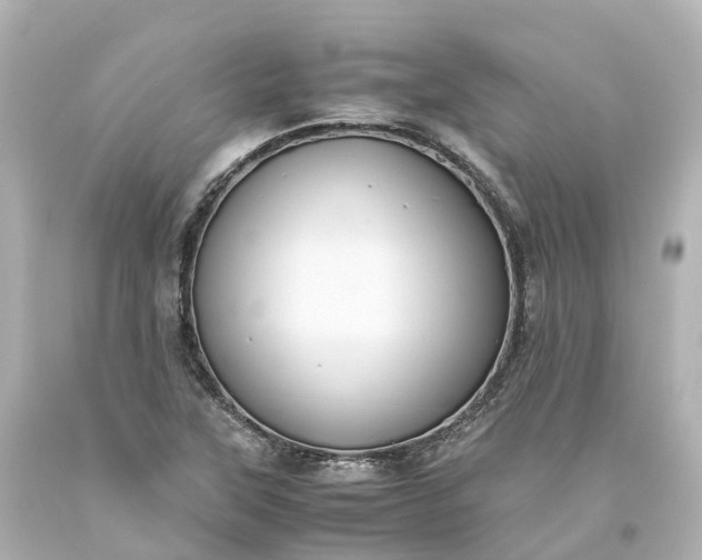 X0000093611315200710291157
