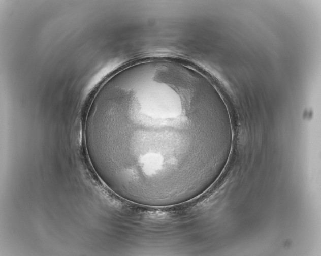 X0000093611317200710291157