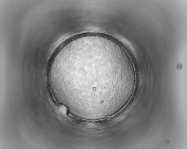 X0000093611318200710291157