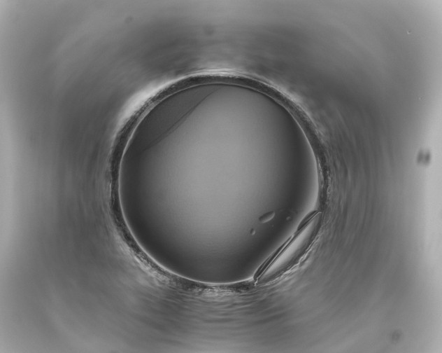 X0000093611319200710291157