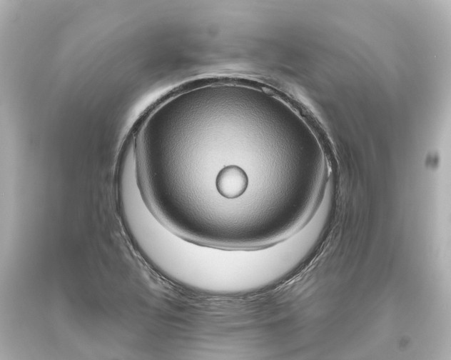 X0000093611320200710291157