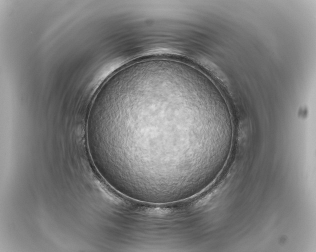 X0000093611321200710291157