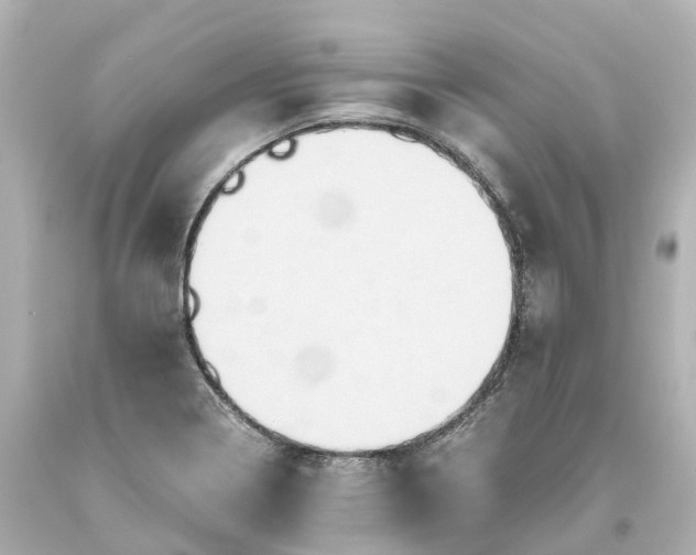 X0000093611322200710291157