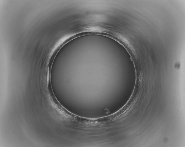 X0000093611323200710291157
