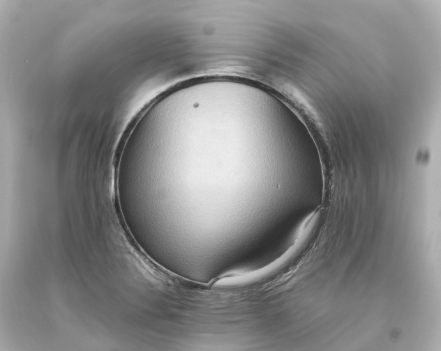 X0000093611324200710291157