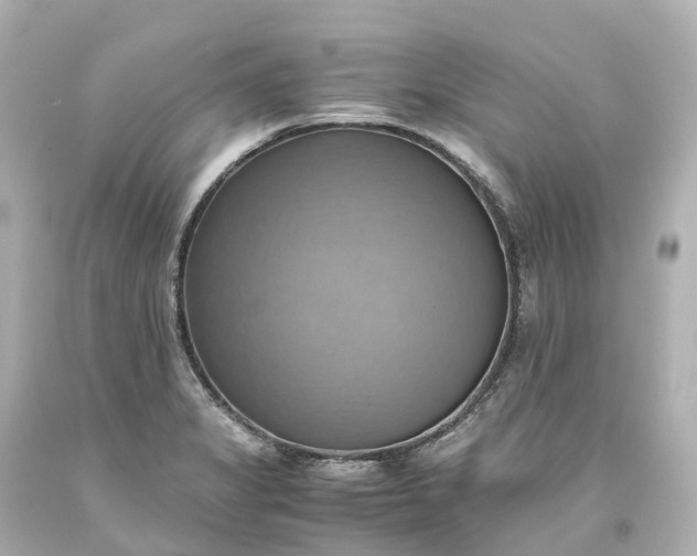 X0000093611325200710291157