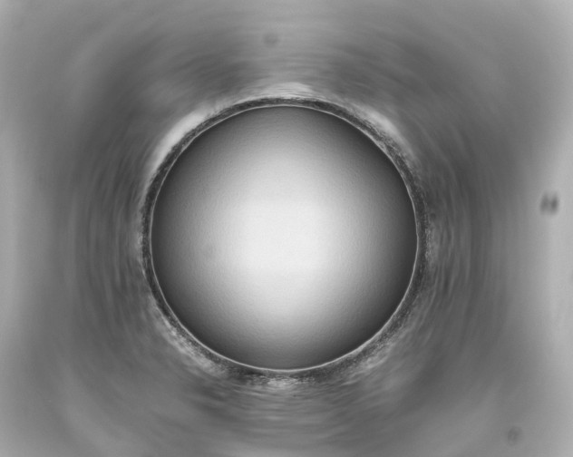 X0000093611326200710291157